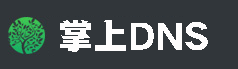 掌上DNS